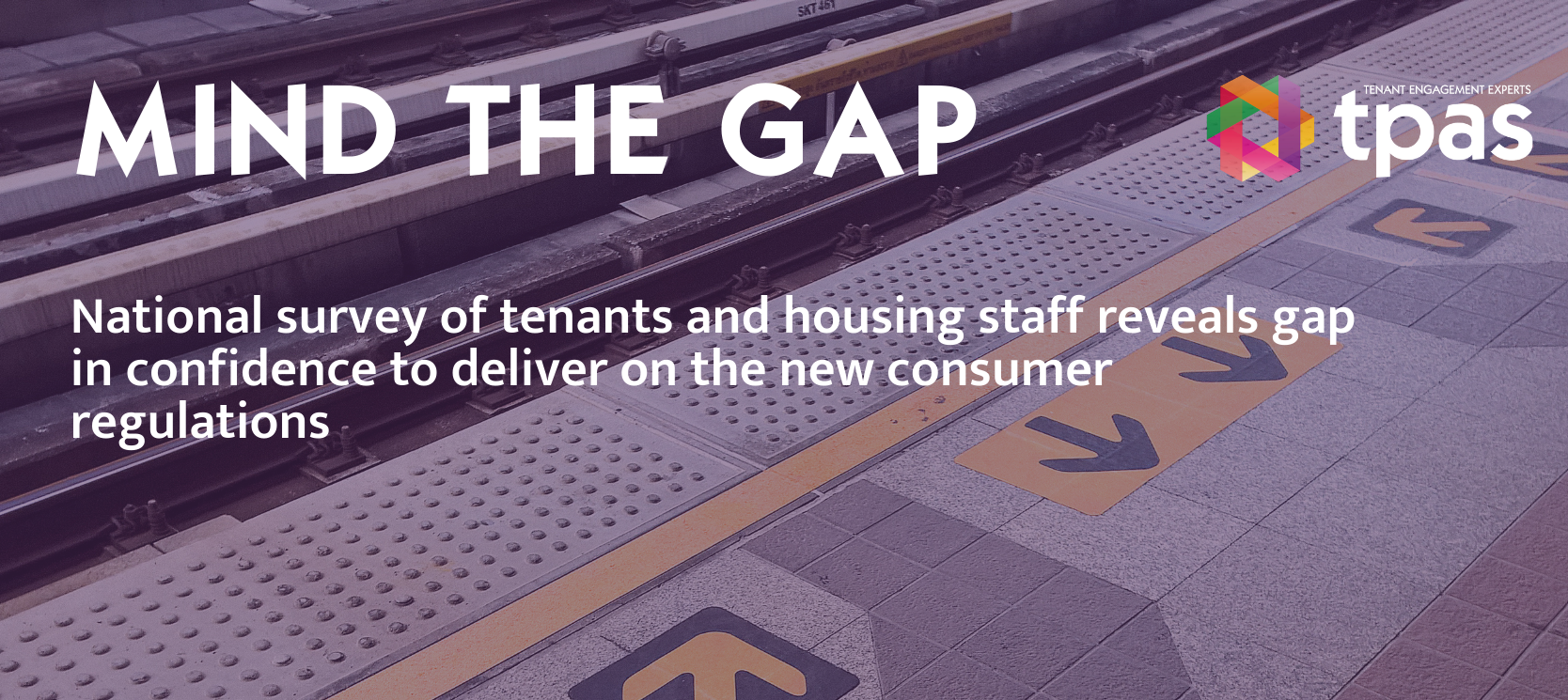 mind the gap webpage image.png